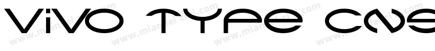 vivo type CNs Bold GB字体转换